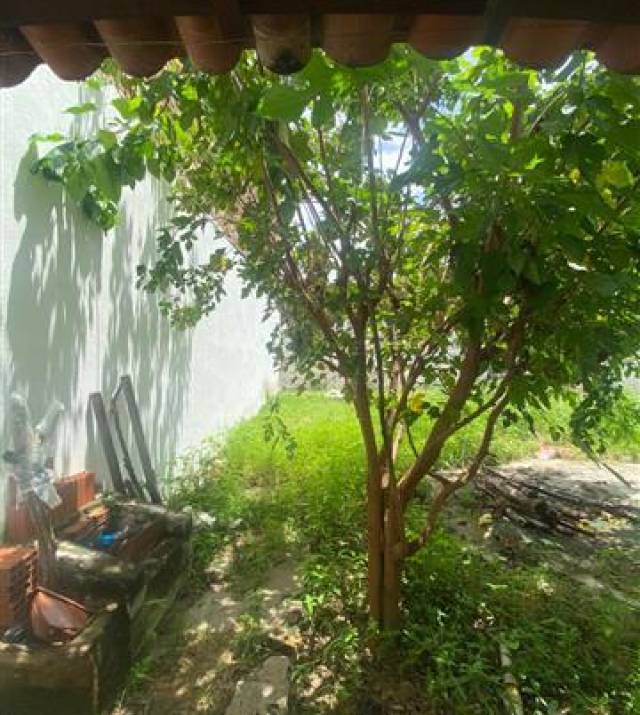 WhatsApp Image 2026-04-07 at 12.16.47 3.jpeg